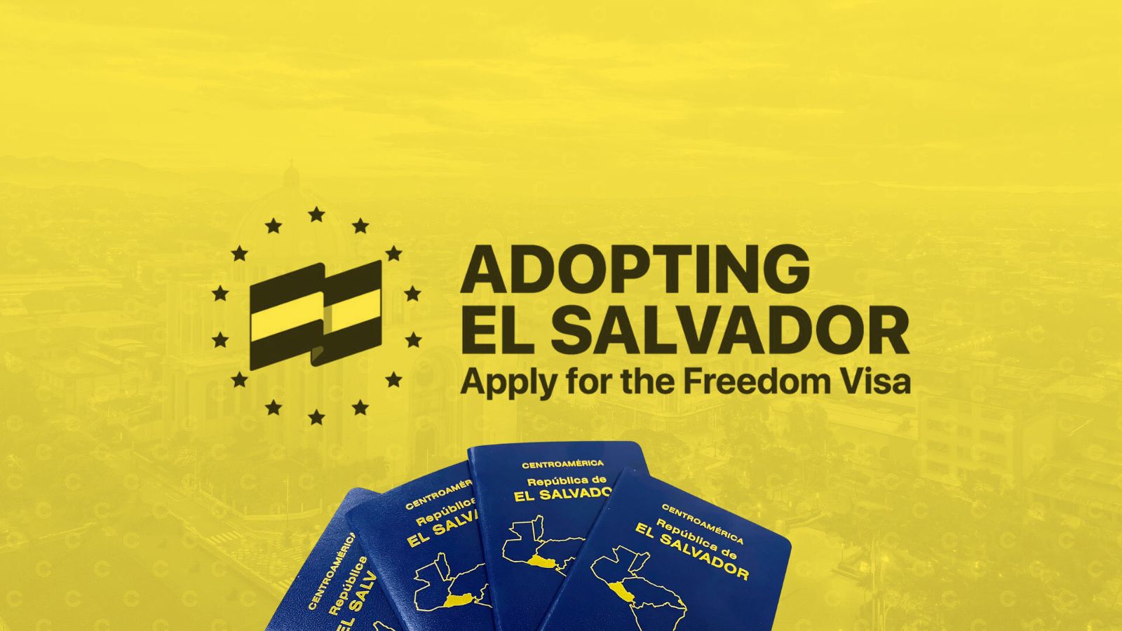 Migración no posee registro de pasaportes salvadoreños para inversionistas  del programa Adopting Bitcoin | Infodemia.